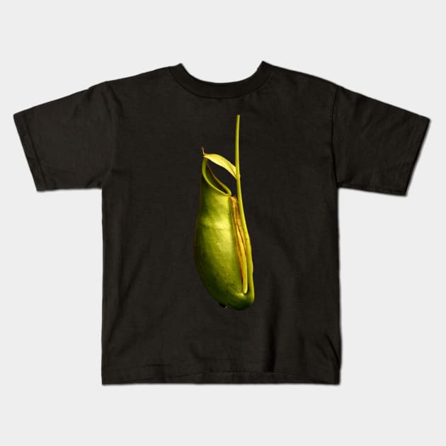 Nepenthes tropical pitcher plant botanical drawing carnivorous plant Kids T-Shirt by Venus Fly Trap Shirts